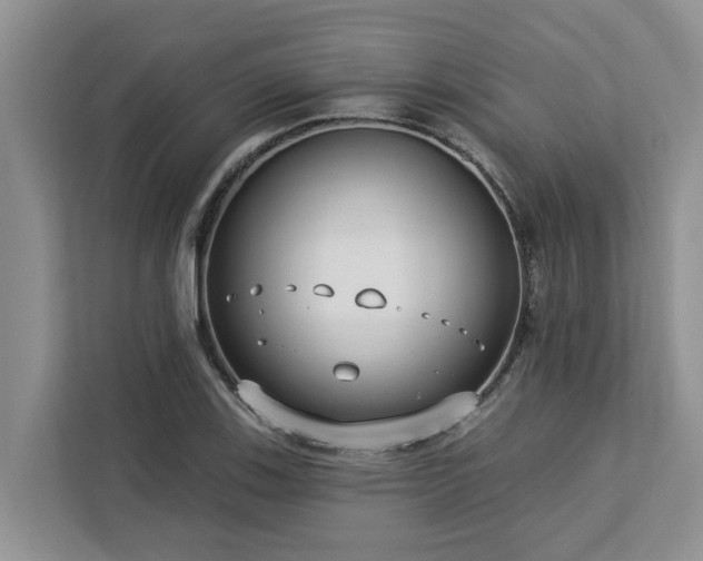 X0000113101123200908281342