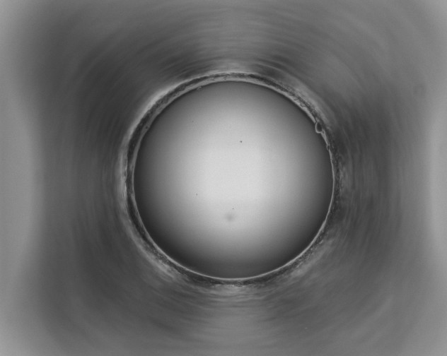 X0000113101124200908281342