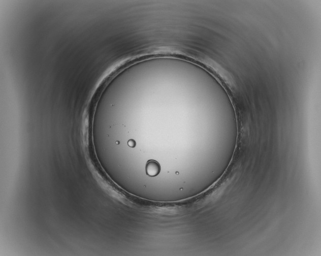 X0000113101126200908281342