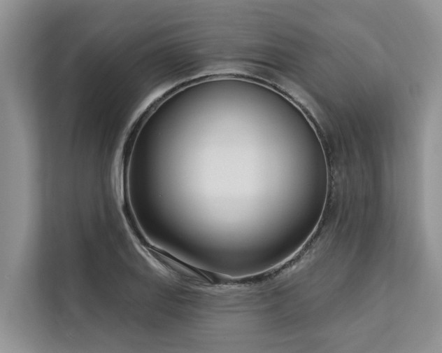 X0000113101127200908281342