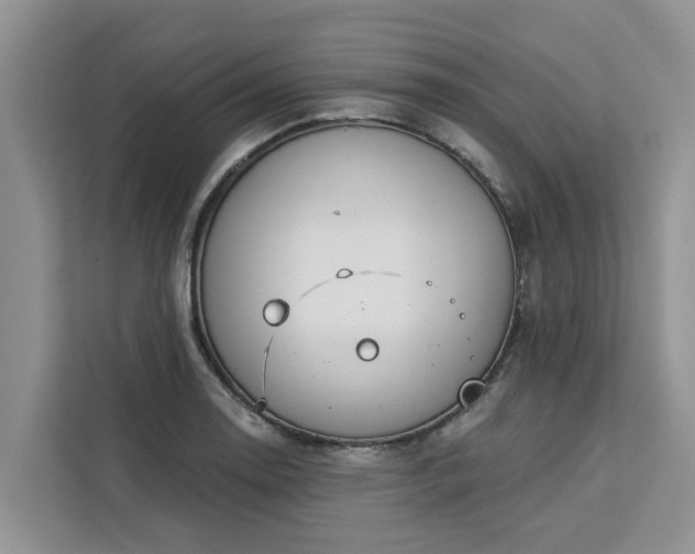 X0000113101130200908281342