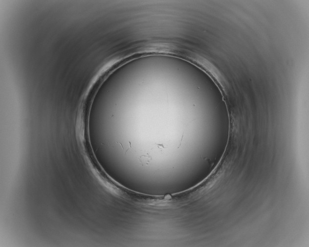 X0000113101131200908281342