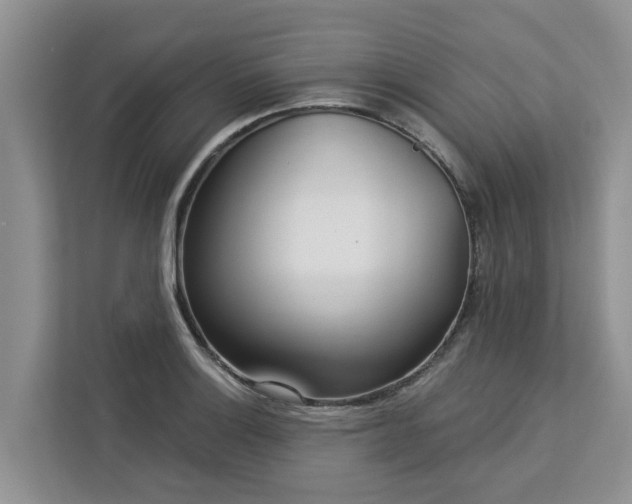 X0000113101132200908281342
