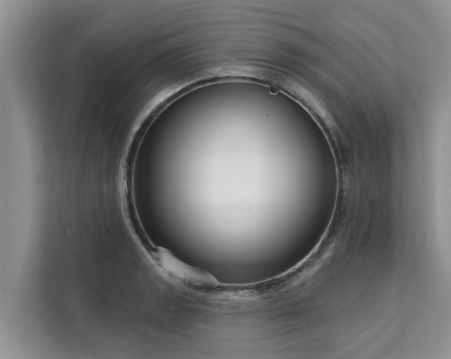 X0000113101133200908281342