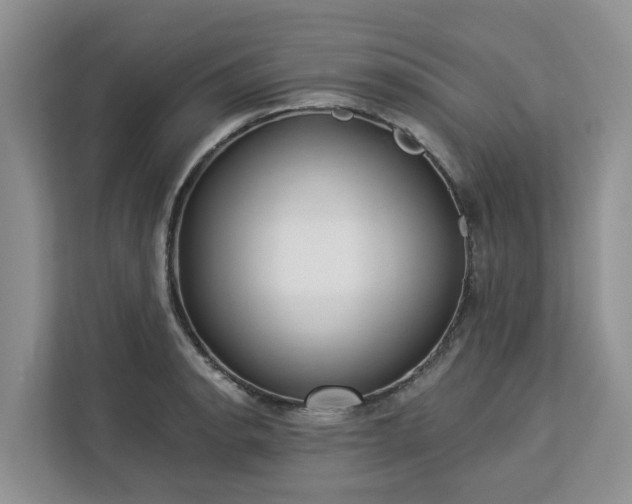 X0000113101134200908281342