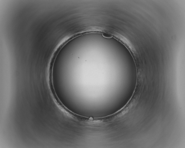 X0000113101135200908281342