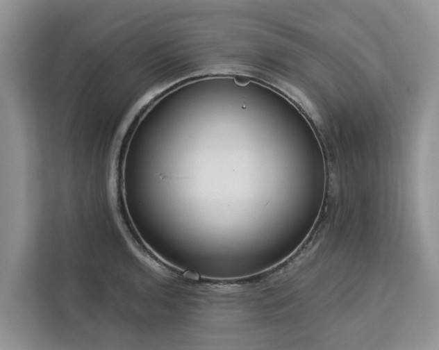 X0000113101136200908281342
