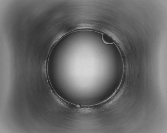 X0000113101137200908281342