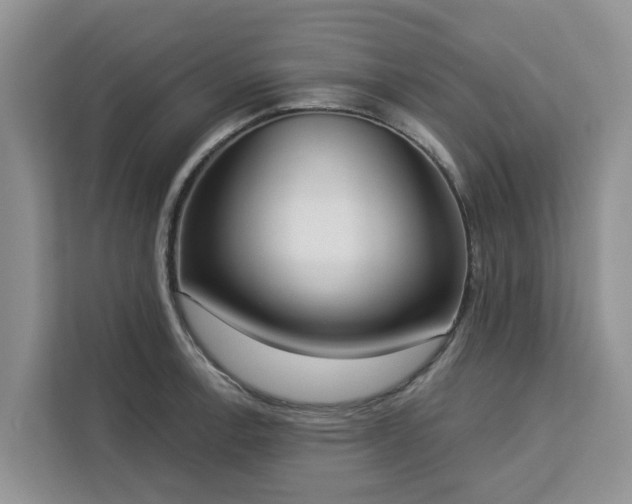 X0000113101138200908281342