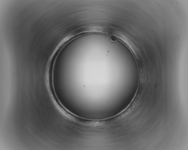 X0000113101139200908281342