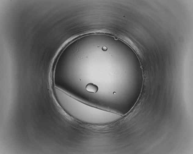 X0000113101140200908281343