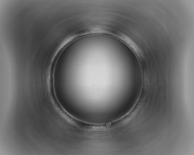 X0000113101142200908281343