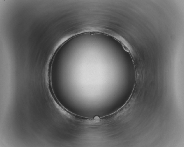 X0000113101143200908281343