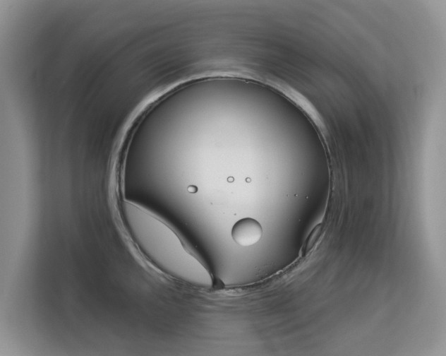 X0000113101144200908281343