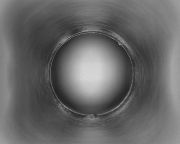 X0000113101145200908281343