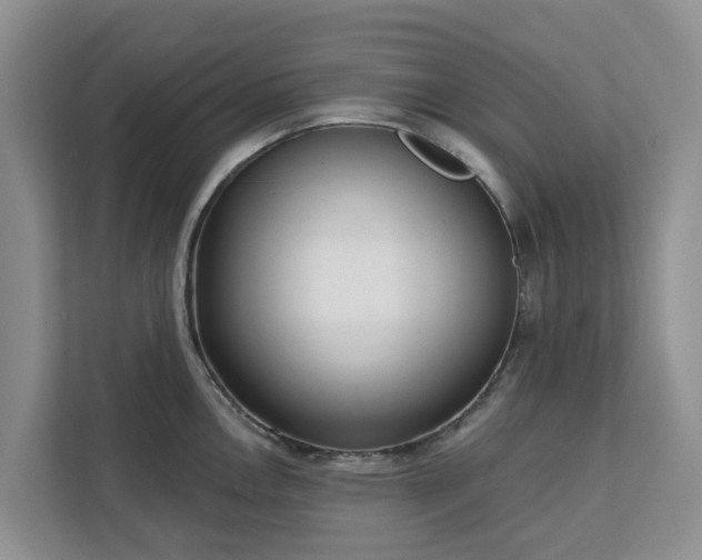 X0000113101146200908281343