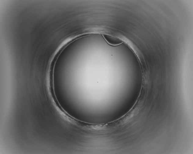 X0000113101147200908281343
