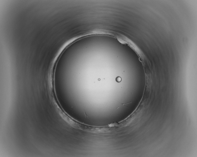 X0000113101148200908281343
