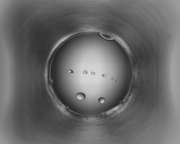 X0000113101149200908281343