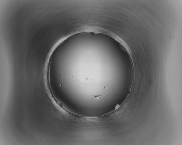 X0000113101152200908281343