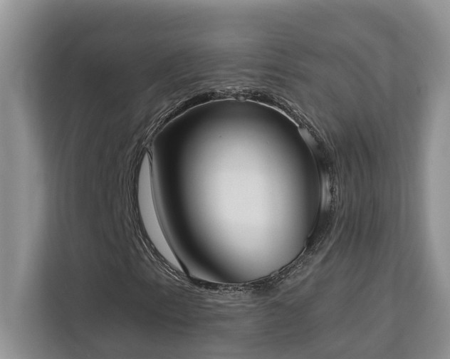 X0000113101153200908281342
