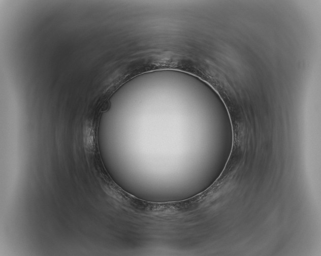 X0000113101154200908281342