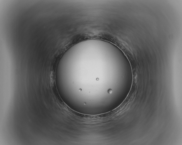 X0000113101156200908281342