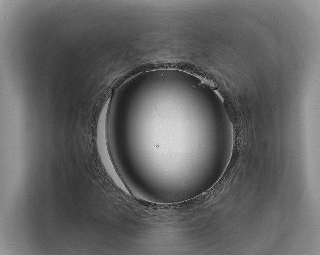 X0000113101157200908281342