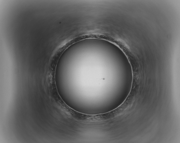 X0000113101159200908281342