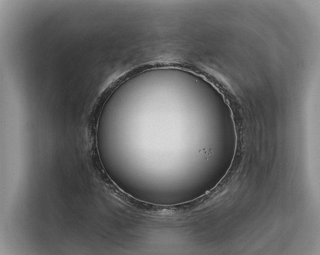 X0000113101160200908281342