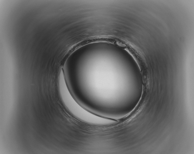 X0000113101161200908281342