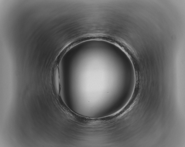 X0000113101162200908281342
