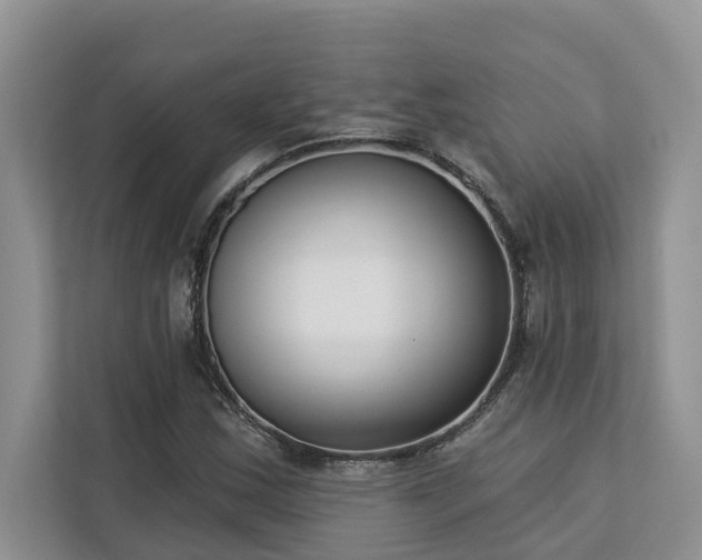 X0000113101163200908281342