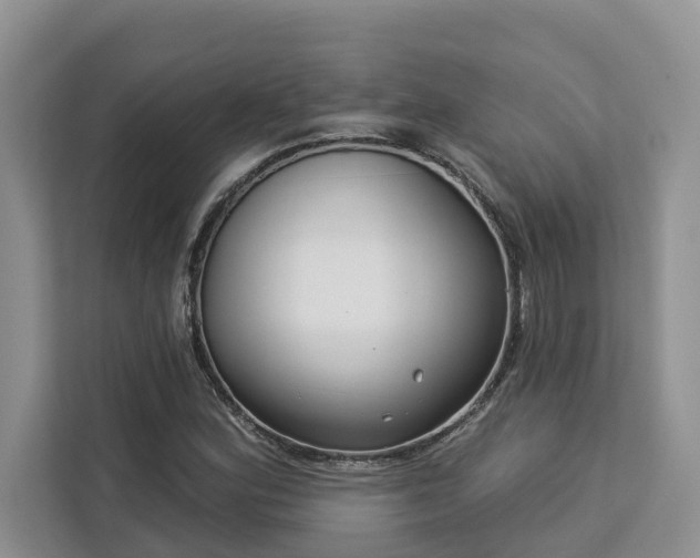 X0000113101164200908281342