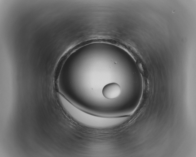 X0000113101165200908281342