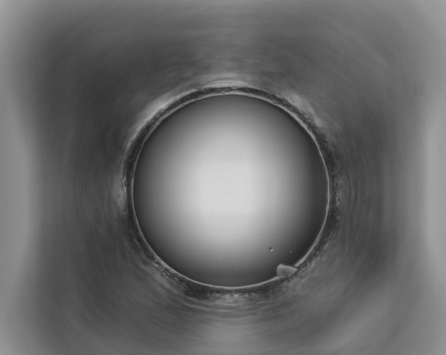 X0000113101167200908281342