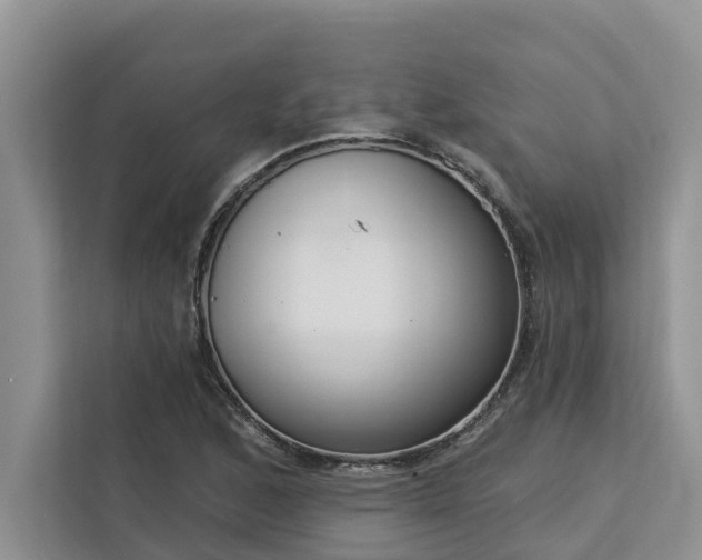 X0000113101168200908281342