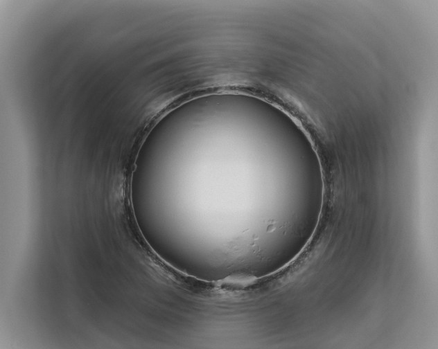 X0000113101169200908281342