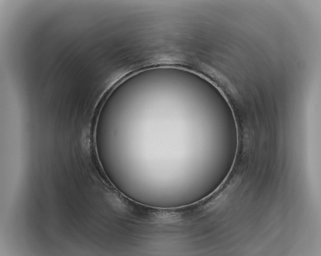 X0000113101170200908281342