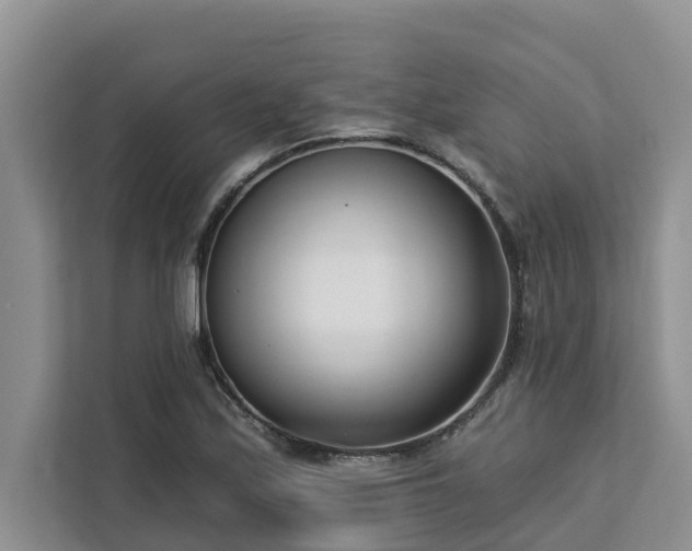 X0000113101171200908281342
