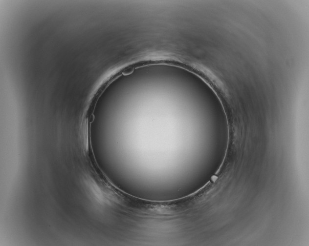 X0000113101175200908281342