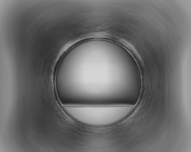 X0000113101176200908281342