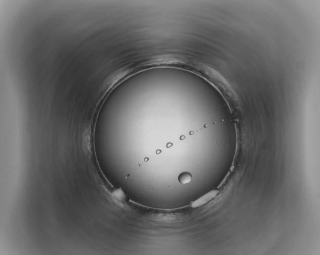 X0000113101177200908281342