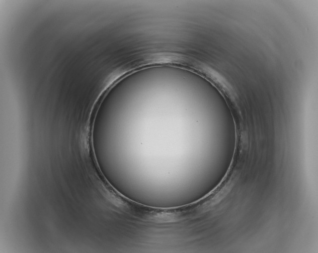 X0000113101178200908281342