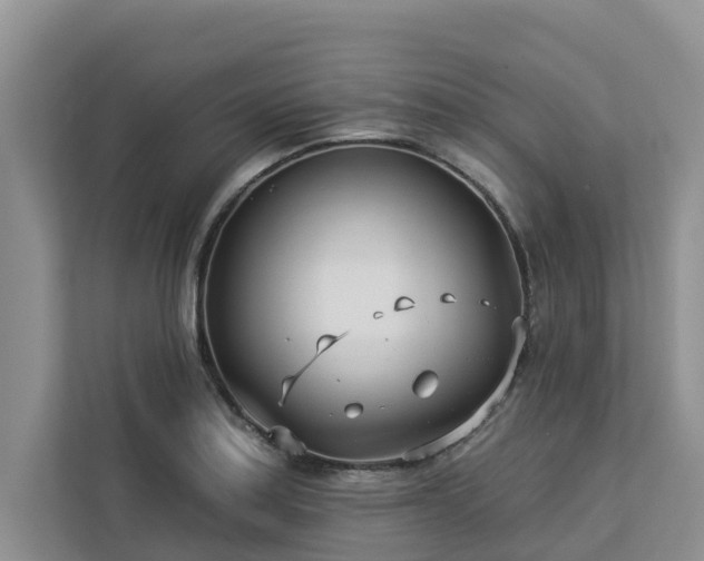 X0000113101179200908281342