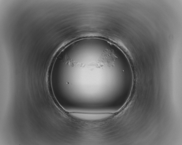 X0000113101181200908281342