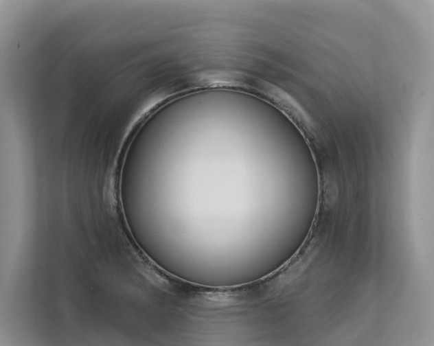 X0000113101182200908281342