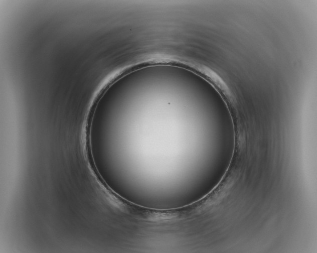 X0000113101183200908281342