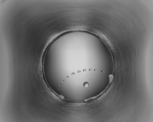 X0000113101184200908281342