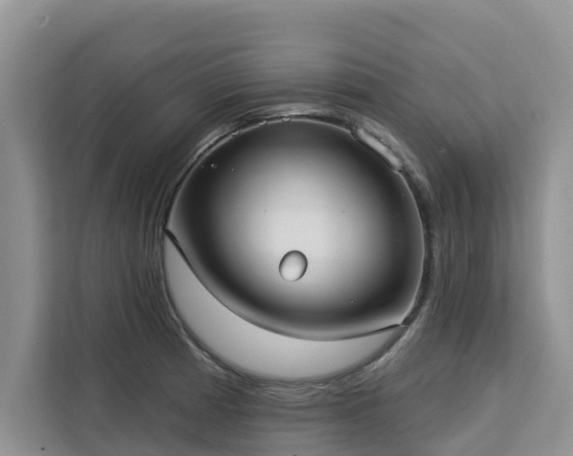 X0000113101185200908281342
